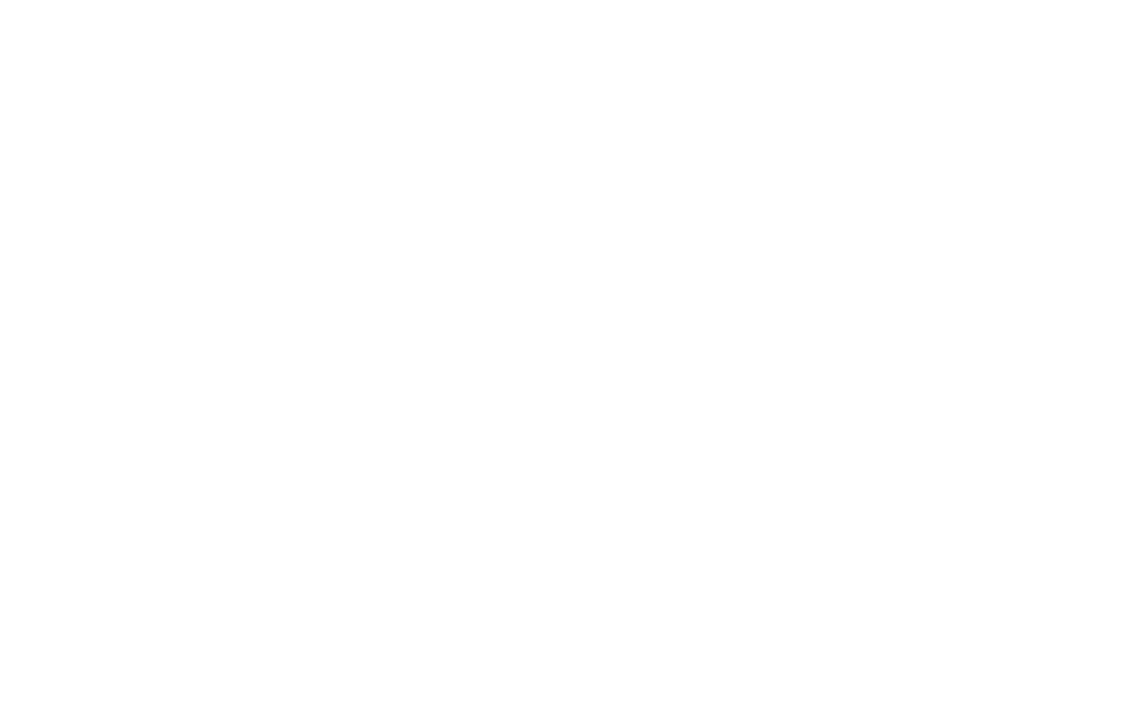 btr_white_main_logo